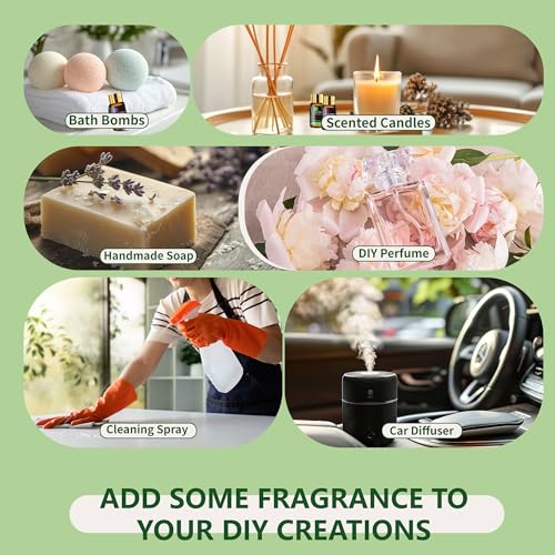 MAYJAM Tea Tree 20 Pcs Pure Essential Oil Gift Set, for Diffuser, Humidifiers, Skin Care, Massage, Fragrance Oil Scent for...