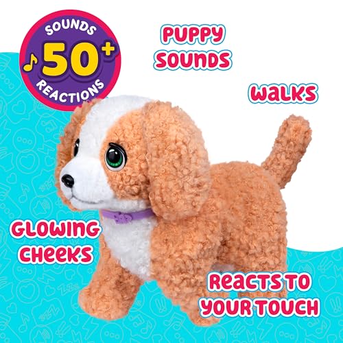 Little Live Pets Ouchies Amazon Exclusive Hazel The Poodle Plush, 50+ Sounds, Limping to Walking Puppy Toy & Carrier, Inte...