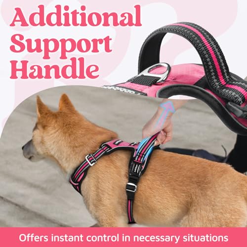 rabbitgoo Dog Harness for Large Dogs, No Pull Pet Vest with 3 Buckles, Adjustable Soft Padded Pet Harness with Easy Contro...
