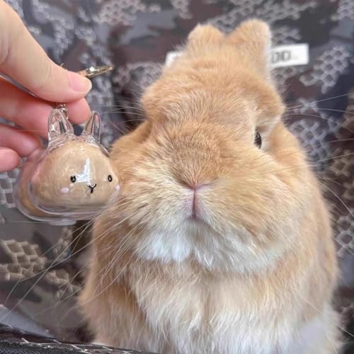 Bunny Fur Keepsake Keychain, Transparent Rabbit Hair Storage Bottle, Pet Hair Container Keychain, Bunny Lover Collecting Gift