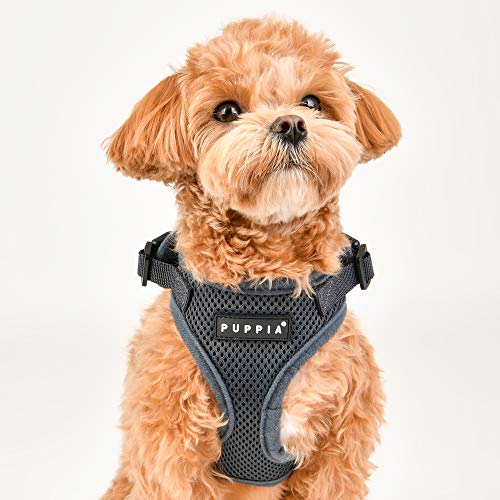 Authentic Puppia RiteFit Harness with Adjustable Neck, Black, Large