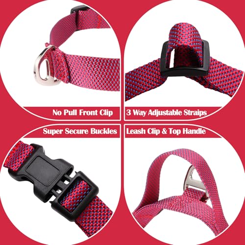 Annchwool No Pull Dog Harness with Front Clip and Easy Control Handle-Belly & Chest Adjustable Dog Harness and Leash Set f...