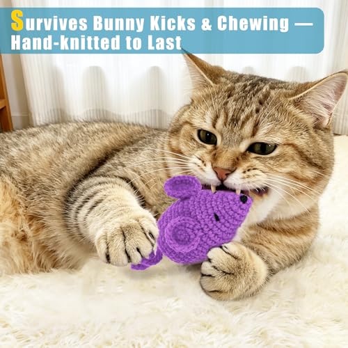 Retro Shaw Catnip Toys Crochet Mice Cat Toys, 3 Pcs Durable Yarn Cat Mouse Toys for Indoor Cats, Stuffed with Natural Catn...
