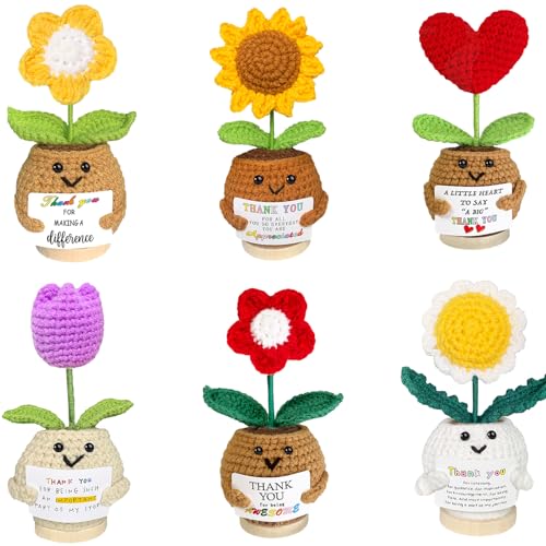 AicooFest Teacher Appreciation Gifts 6PCS Thank You Gifts for Mom Women, Positive Crochet Flowers Emotional Support Croche...