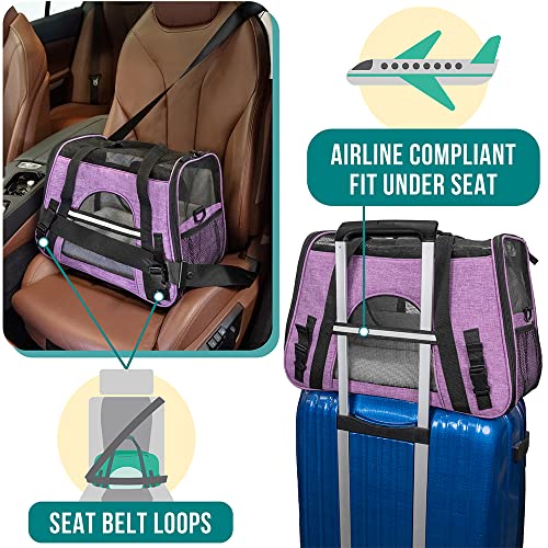 PetAmi Airline Approved Pet Carrier for Cat, Soft Sided Dog Carrier for Small Dog, Cat Travel Supply Accessories Indoor Ca...
