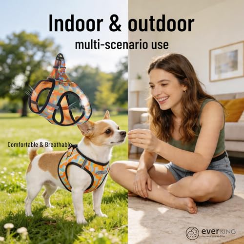 EVERKING Breathable Mesh No-Pull Dog Harness & Leash Set for Small Dogs, Reflective Trim for Safety – Comfortable Vest Des...