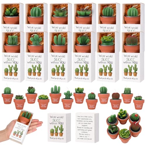 Lyrow 12 Sets Employee Appreciation Gift Cactus Tealight Candles Set Mini Handmade Succulent Candle Planter with Matchbox,...