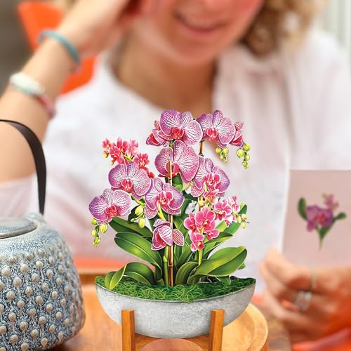 Freshcut Paper Pop Up Cards, Mini Orchid Oasis (Set of 2), 6 Inch Mini Sized Forever Flower Bouquet 3D Popup Greeting Card...