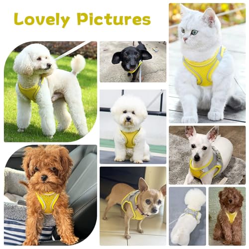 PETPUBGNZS Soft Small Dog Harness and Leash Set Mesh Puppy Harnesses Leash Easy Walk Dog Vest Adjustable Reflective No Pul...