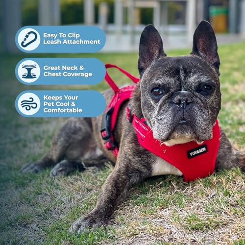 Best Pet Supplies Voyager Adjustable Step-in Flex Breathable Mesh Dog Harness for Small Medium Large Dogs Leash Set (Red), S