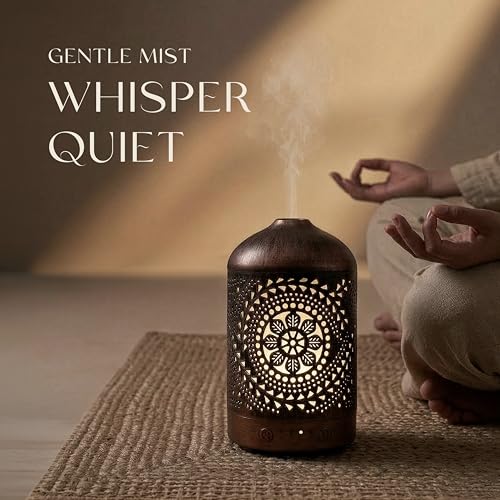 Earnest Living Essential Oil Diffuser Metal Diffuser 100 ml Timers Night Lights and Auto Off Function Home Office Humidifi...