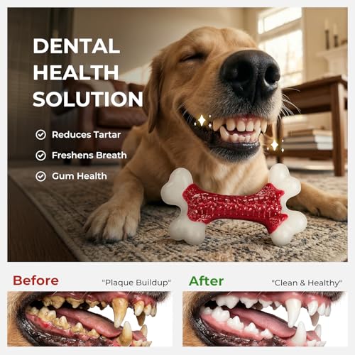 Kseroo Indestructible Dog Toys for Aggressive Chewers: Beef Flavored Hard Nylon Bone Chew Toys, Tough Dog Chew Toys for La...