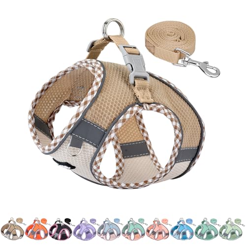 AIITLE XXS Dog Harness & Leash Set - Breathable Reflective No-Choke Small Dog Harness for Teacup Puppies, Indoor/Outdoor U...