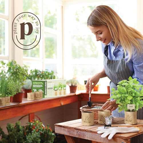 Planters' Choice 9 Herb Indoor Window Garden Kit - Mothers Day Gifts - House Plants Seeds - Best Unique Gift Ideas for Wom...