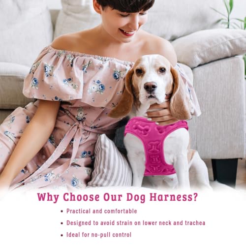 Comfort Fit Dog Harness No Pull No Escape Harness Adjustable Buckles Soft Padded Reflective Choke Step in Dog Vest with Ea...