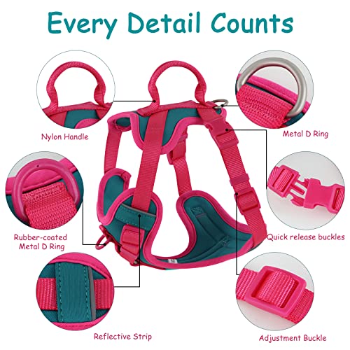 Wolfone No Pull Dog Harness Adjustable Soft Padded Pet Vest with Control Handle Adorable Daily Harness for Dogs（Viridian G...