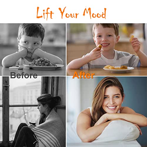 Light Therapy Lamp 10000 Lux, Happy Sunlight Lamps UV-Free with 3 Color Temperatures, Adjustable Brightness,Timer & Memory...