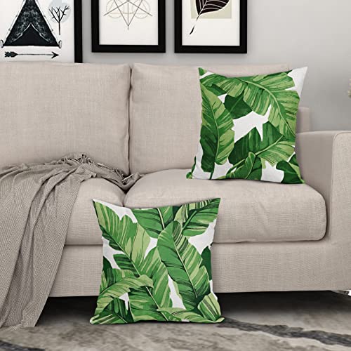 Tropical Palm Leaves Throw Pillow Covers 18x18 Inch Pack of 2 Summer Green Banana Leaf Pillow Covers Modern Outdoor Tropic...
