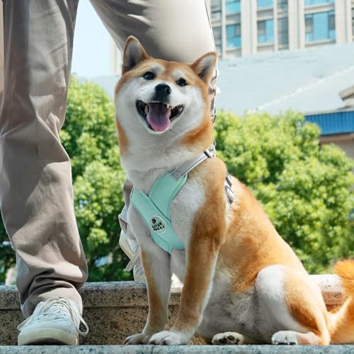 Patas Lague Dog Harness with Leash Set Adjustable Soft Padded Step-in Dog Vest No Choke No Pull Reflective for Small Mediu...