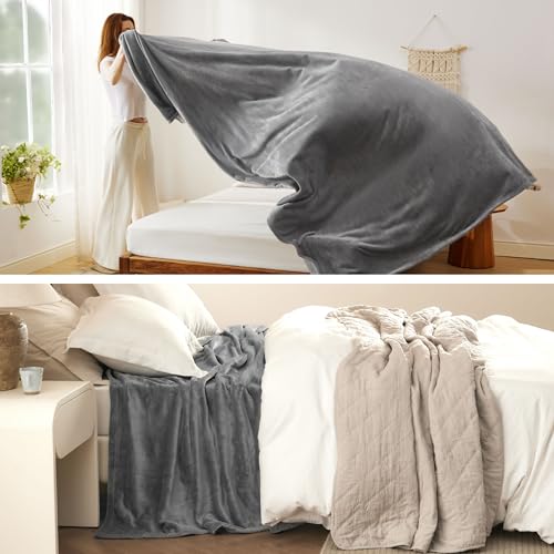 Bedsure GentleSoft Fleece Bed Blankets Queen Size Grey - Soft Warm Spring Blanket Lightweight Cozy Anti-Static Microfiber,...