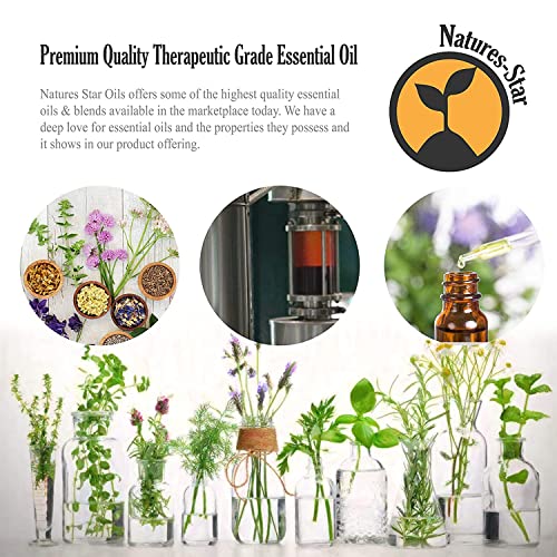 Natures-Star Lavender Essential Oil, 16 Ounce, Therapeutic Grade for Aromatherapy, Candle & Soap Making, Diffusers & Home,...