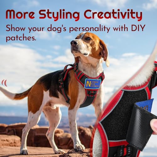 Eagloo Dog Harness for Large Dogs, Easy Wearing with 3 Buckles, Adjustable No Pull Pet Harness with 2 Rings for Walking, N...