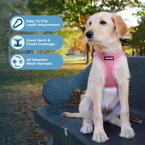 Best Pet Supplies Voyager Step-in Air All Weather Mesh Harness and Reflective Dog 5ft Leash Combo with Neoprene Handle, fo...