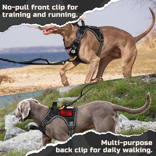 rabbitgoo Tactical Dog Harness for Large Dogs, No Pull Military Service Vest with Handle & Molle, Easy Control for Trainin...