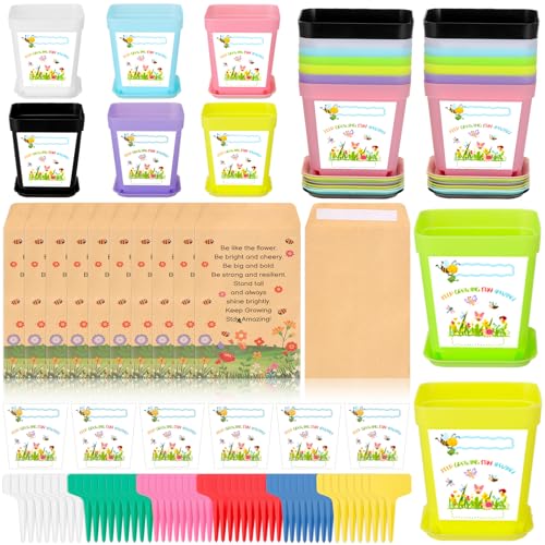 50 Sets Garden Flower Pots Crafts Kit Spring Planting Pot with Pots Trays Wildflower Seed Packets Seed Not Included Sticke...