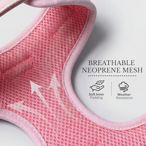 JoyCrafted-FBL No Pull Dog Harness & Leash Set | Lightweight Breathable Neoprene, Cute Heart Pattern, Adjustable Step-In V...