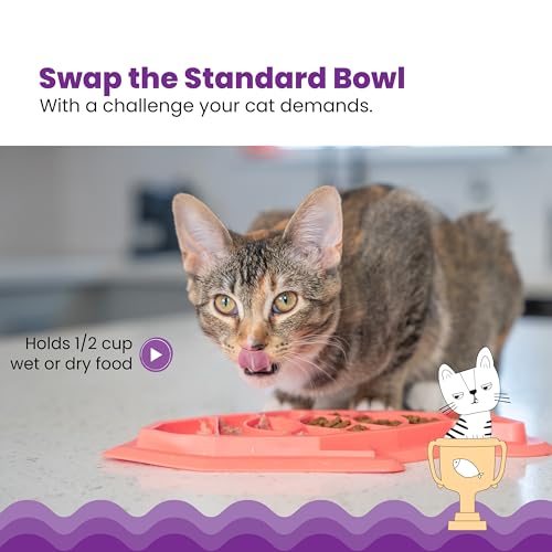 Catstages Fishie Fun Feed Mat – Non-Slip Slow Feeder Mat for Cats with Catnip, Crinkle Sounds & Engaging Play, ½ Cup Food ...
