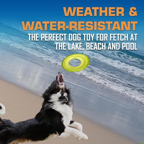 Nerf Dog Tire Flyer Dog Toy Gift Set, 10 Inch Flying Disc Dog Fetch Toys, Rubber Dog Toy for Medium Dogs and Large Dogs, R...