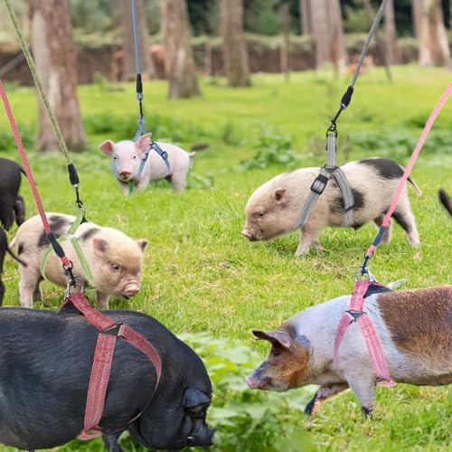 Mini Pig Harness, Adjustable Small Pig Harness with Leash Infinity Style Lead and Soft Foam Handle for Small to Medium Pet...