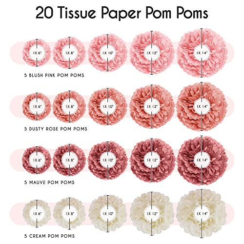 EpiqueOne 20 Piece Tissue Paper Pom Poms | Blush Pink, Dusty Rose, Mauve & Cream | Colorful Paper Flower Wall Decorations ...