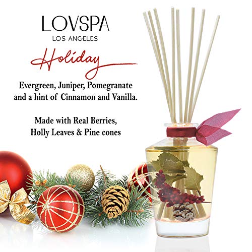 LOVSPA Reed Diffuser Set, Holiday Red Currant & Woods Scented Oil Diffuser with Sticks, Home Fragrance Accessories for Bat...