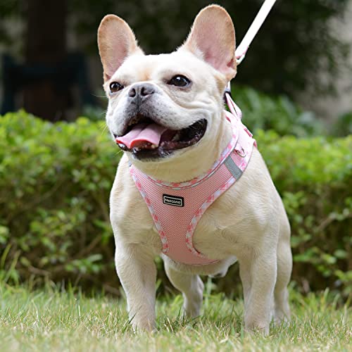 Mercano Soft Mesh Dog Harness and Leash Set, No-Chock Step-in Reflective Breathable Lightweight Easy Walk Vest Harnesses w...