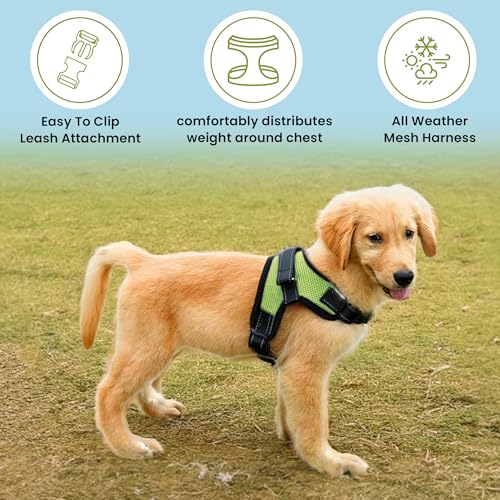Copatchy No Pull Reflective Adjustable Dog Harness With Handle- Comfortable Soft All Weather Mesh, Easy On Puppy Harness F...