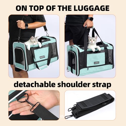 PAPZER Cat Carrier Soft-Sided Travel Bag for Medium to Large Cats Over 15lbs, Small Dog Carrier Crate Top Entry Breathable...