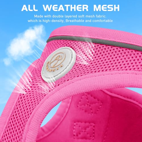 HIHANHAN Soft Mesh Dog Harness and Leash Set, No Pull Puppy Harness and Leash Set, Reflective Step in Harness for Small Me...