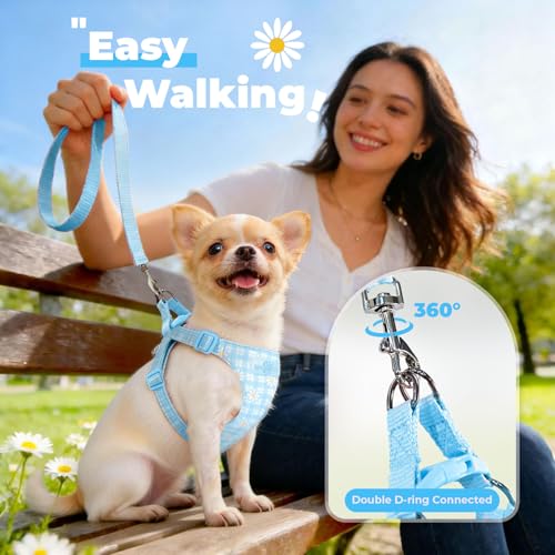 PETCARE Cute Small Dog Harness and Leash Set Blue Floral Daisy Puppy Harness Vest Adjustable Step in Spring Summer Soft Me...