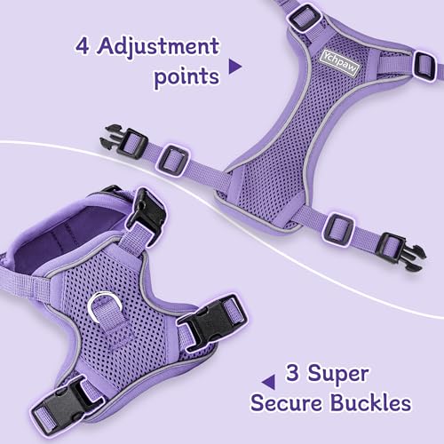 Ychpaw Small Dog Harness and Leash Set, Reflective Soft Breathable Mesh Vest, 3 Buckles, Adjustable Neck and Chest,Step in...