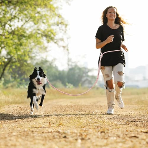 Tiesenci Hands Free Dog Leash Crossbody & Waist for Walking, 9-in-1 No Pull Dog Harness & Leash Set, Waterproof Training S...