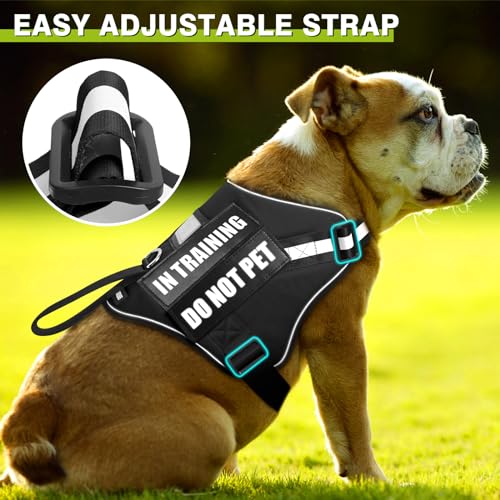 Service Dog Harness and Leash Set, Training Dog Vest with 10 Dog Patches, Emotional Support Therapy Dog Vest Harness for S...