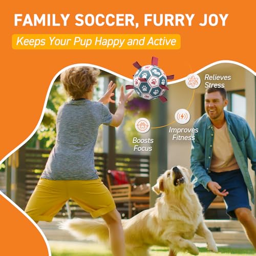 QDAN Dog Balls, World Cup Soccer Ball with Straps, Durable Herding Balls for Small Medium Pet, Puppy Birthday Gifts, Dog W...