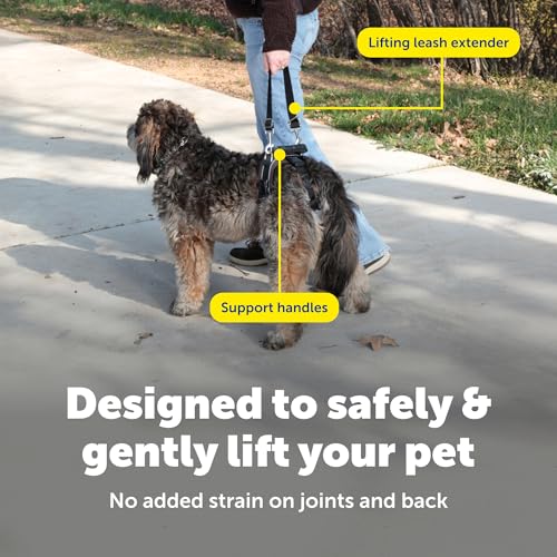 PetSafe Adjustable Dog Lifting Harness - Senior & Disabled Dog Rear Mobility Support - Easy-Fitting, Breathable Belly Stra...