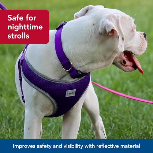 Coastal Pet Comfort Soft Reflective Wrap Adjustable Dog Harness - No-Pull Dog Harness for Small & Large Dogs - Blue Lagoon...