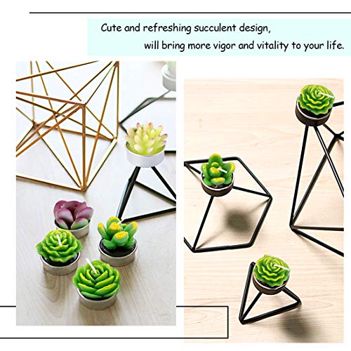 Swpeet 12Pcs Decorative Succulent Cactus Tealight Candles Kit, Cute Smokeless Succulent Plants Perfect for Candles Festiva...