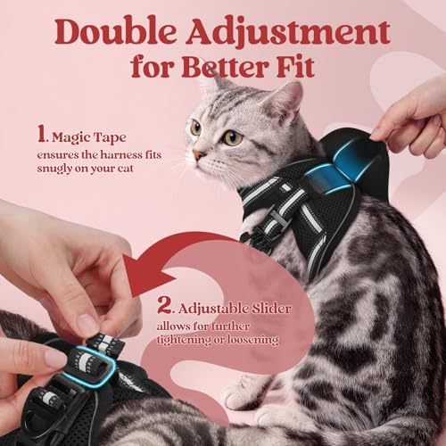 rabbitgoo Cat Harness and Leash Set for Walking Escape Proof, Adjustable Soft Kittens Vest with Reflective Strip for Cats,...