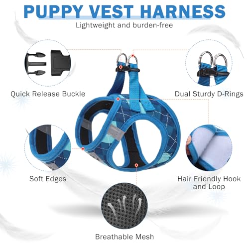 SCENEREAL Small Dog Harness and Leash Collar Set, Step in No Pull Soft Mesh Dog Harnesses for Small Medium Sized Dogs Pupp...