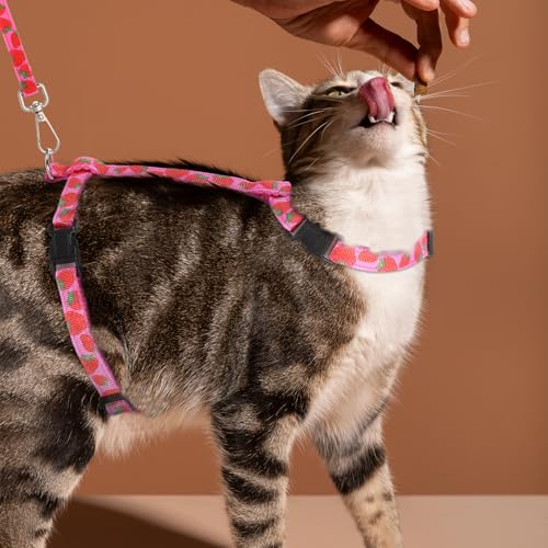 2 Pack Cat Harness and Leash with Collar Set, Adjustable Kitten Harness Escape Proof for Small Medium Cat Safe Walking and...